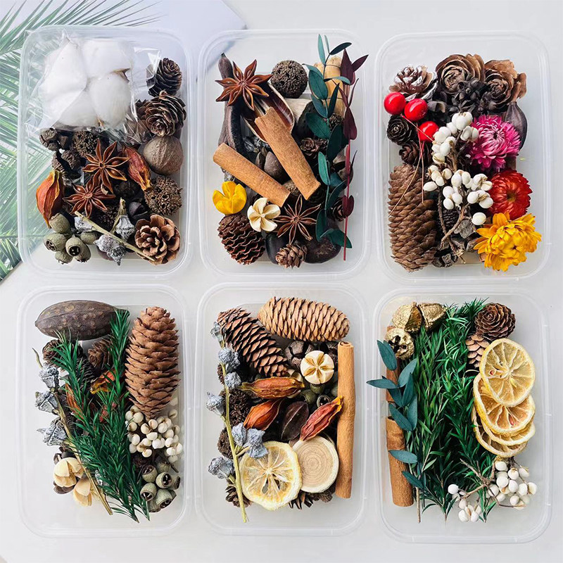 Dried Fruit Mix - Rustic Forest Style Mixed Dried Plant
