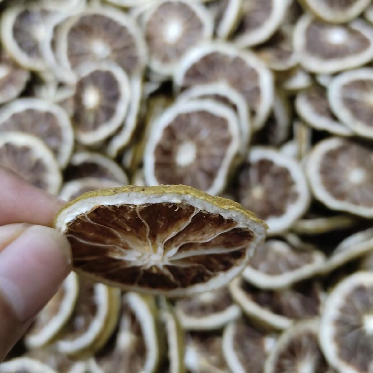 Premium Natural Dried Lemon Or - đánh giá và giá Dried Fruit Mix